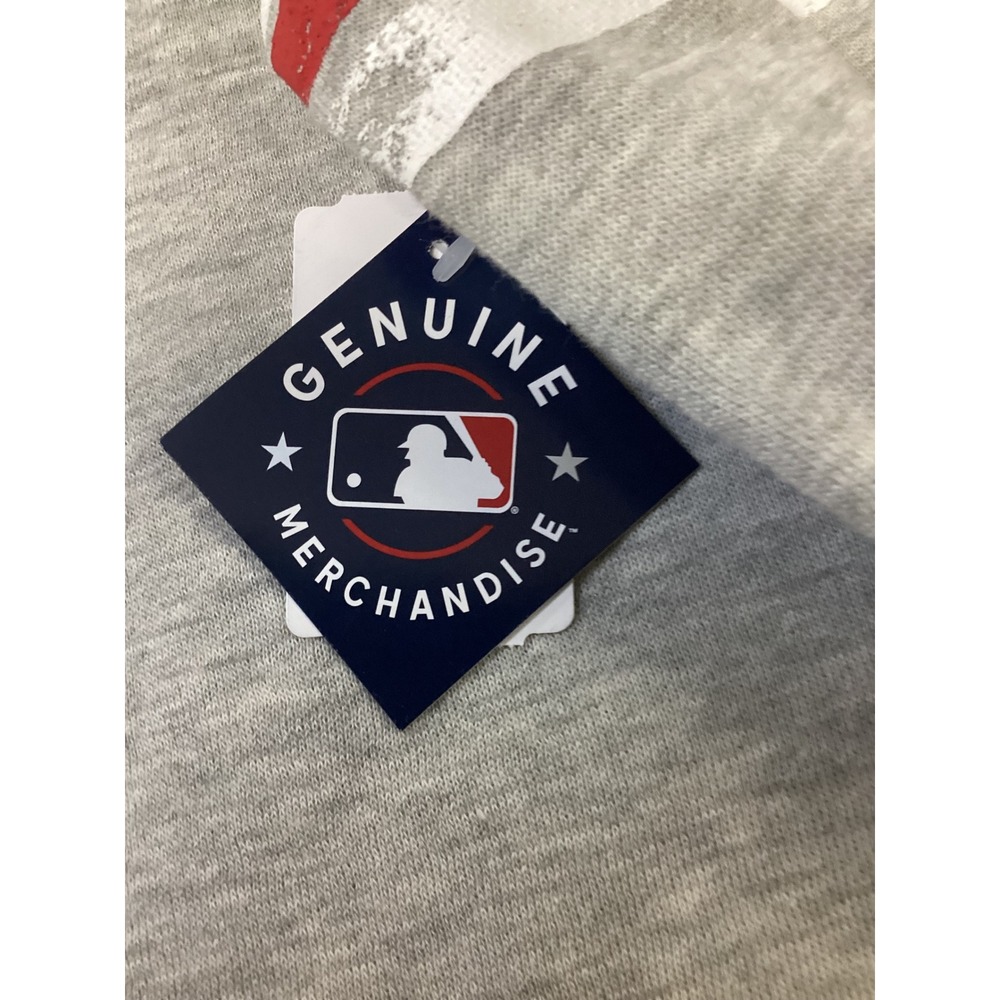 Atlanta Braves MLB Sweatshirt Womens Medium Gray Raglan Sleeve Campus Lifestyle - Picture 3 of 7